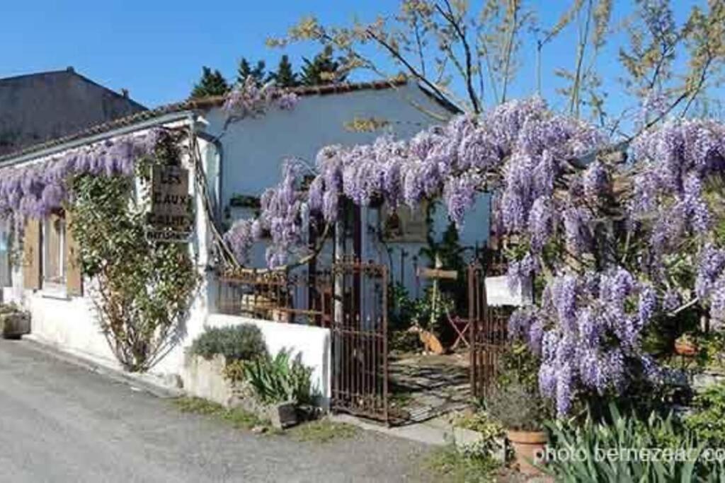 Maison Coquelicots - 4 Personnes - Jardin Mornac-sur-Seudre Buitenkant foto